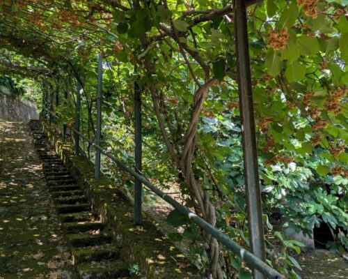 ISERNIA7 500x400