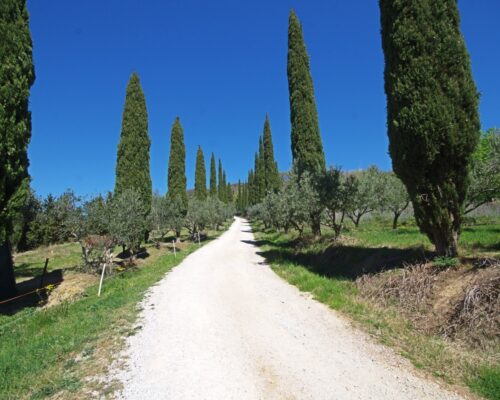 Monterotondo Marittimo2 500x400